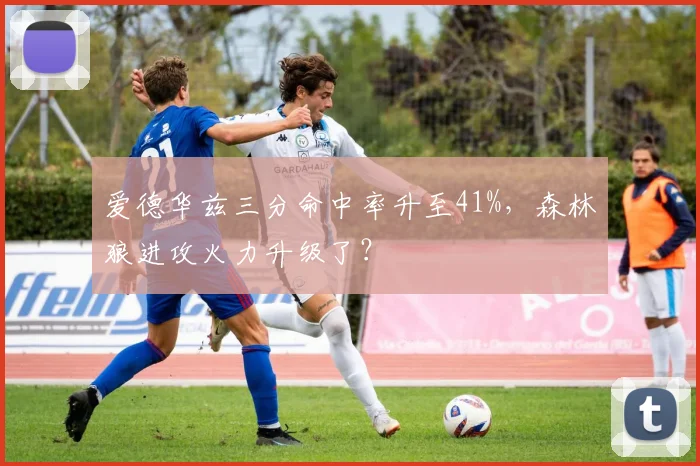爱德华兹三分命中率升至41%，森林狼进攻火力升级了？
